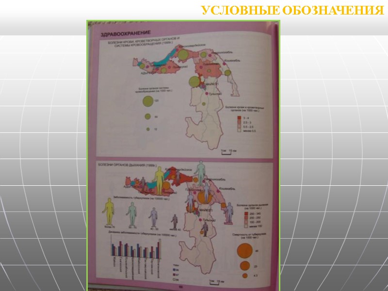 УСЛОВНЫЕ ОБОЗНАЧЕНИЯ УСЛОВНЫЕ ОБОЗНАЧЕНИЯ